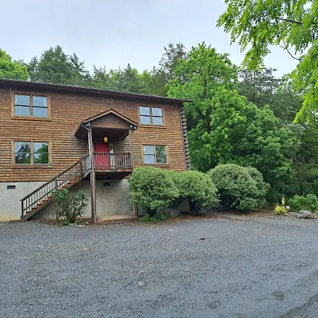 The Lewis #25 - The Cabins At Lexington
